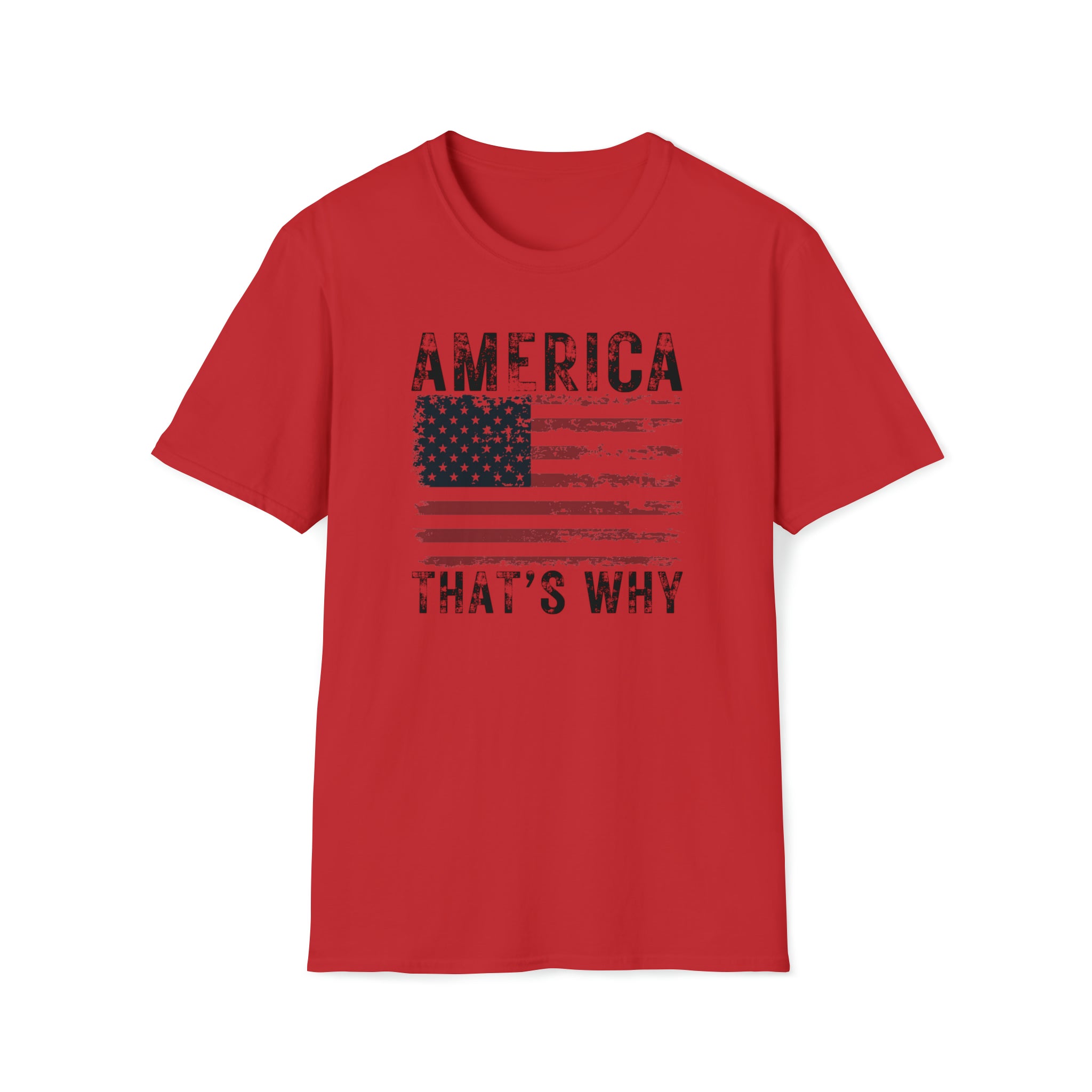 America That's Why T-Shirt