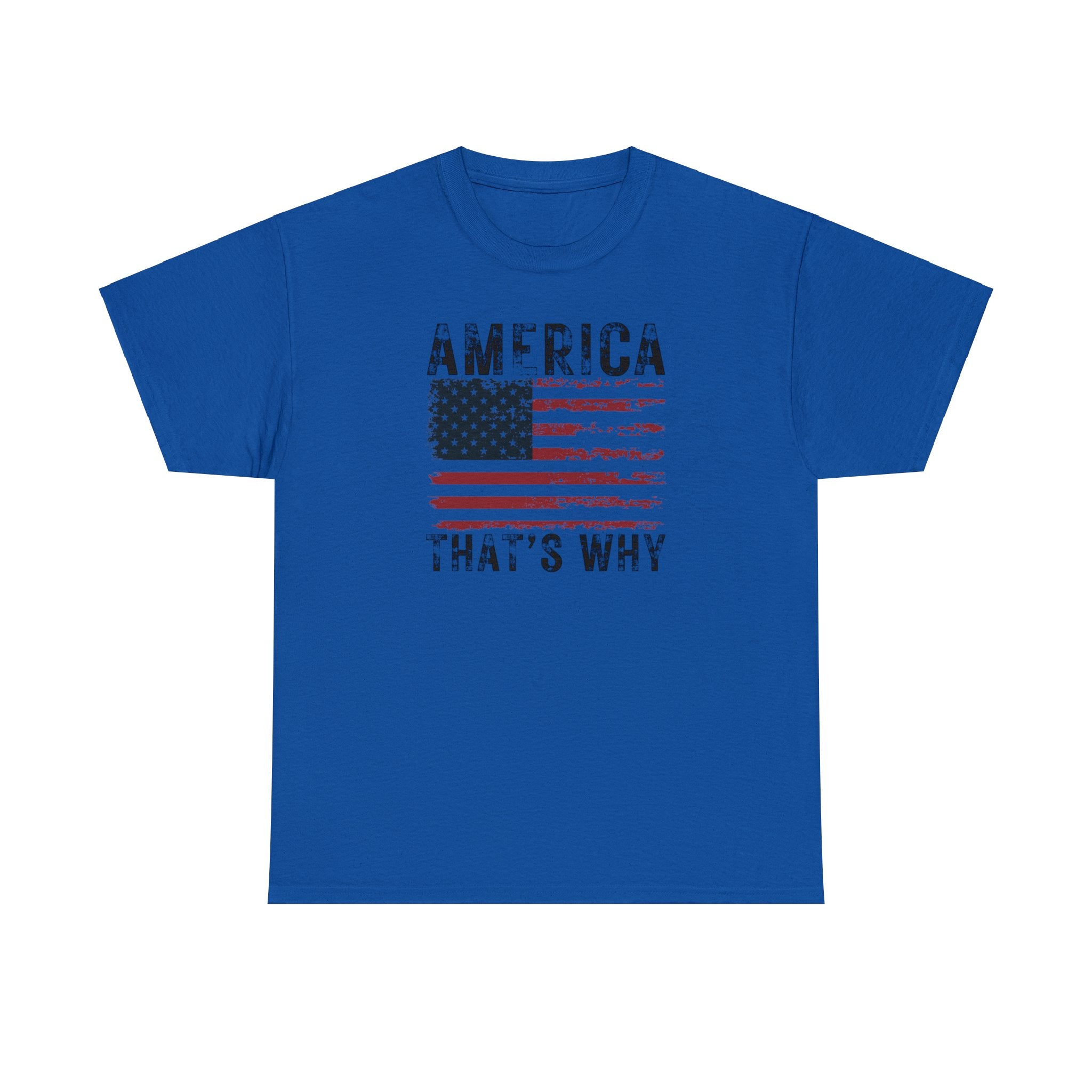 America That's Why T-Shirt